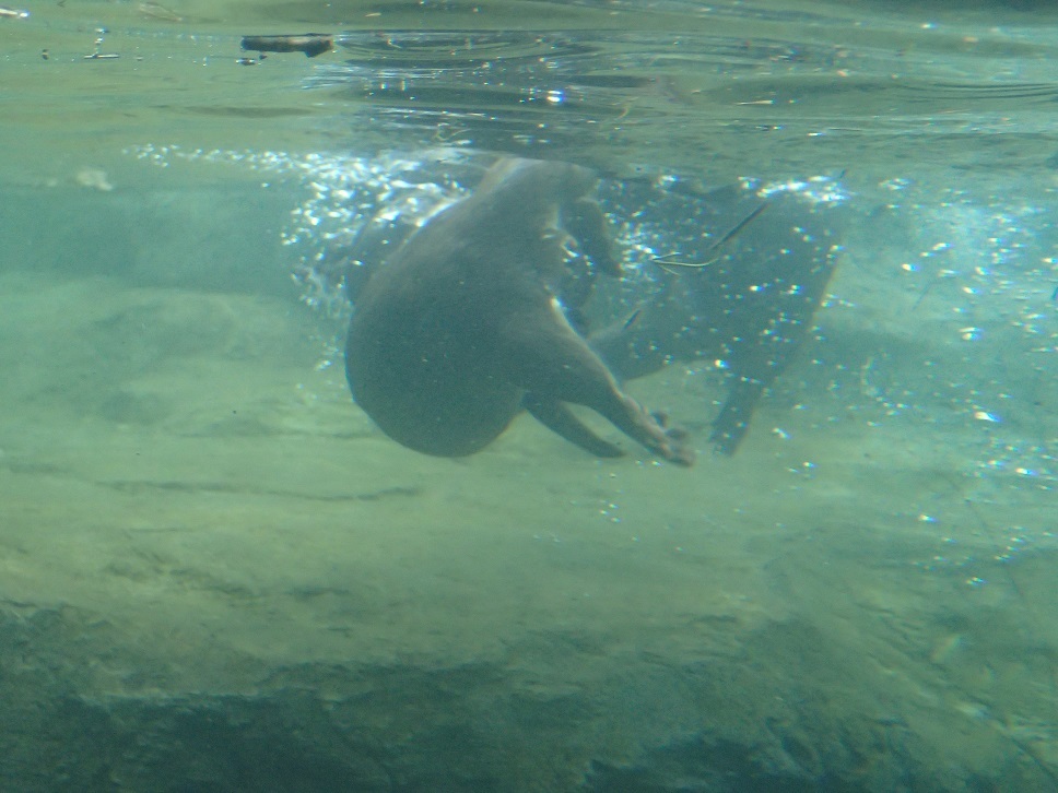 e0128144_05432010.jpg