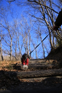 c0145250_09381762.gif