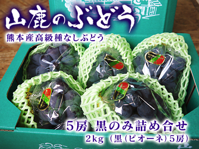 熊本ぶどう 社方園 ぶどうの果樹が眠りから覚める前に行うハウス張りの様子(前編)_a0254656_18063788.jpg