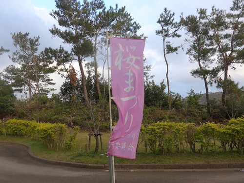 沖縄・名護「名護桜まつり」に行く。_f0232060_18104549.jpg
