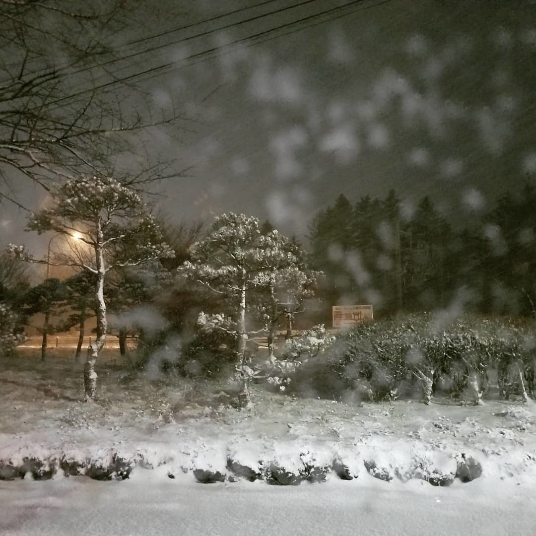 マイナス8 雪降る夜 ぴきょログ 軽井沢でぐーたら生活 マイナス8 雪降る夜 ぴきょログ 軽井沢でぐーたら生活