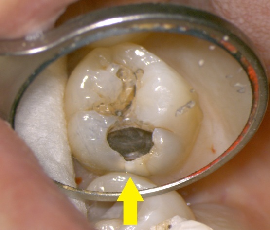 b0119466_01090360.jpg