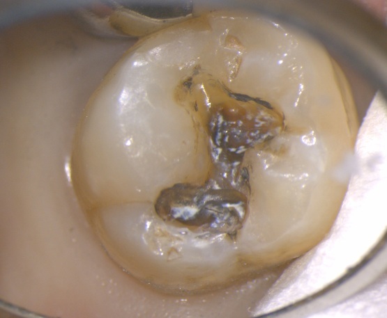 b0119466_01251559.jpg