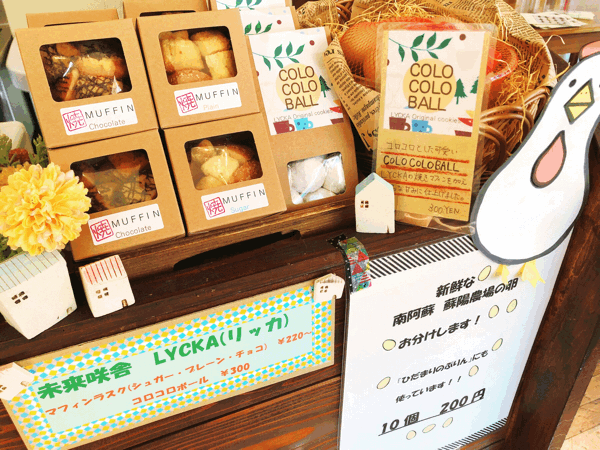 かわいい手土産を 彡 箱崎翔店 ひだまり日記 ひだまりのぷりん Tonari パン工房hanare かわいい手土産を 彡 箱崎翔店 ひだまり日記 ひだまりのぷりん Tonari パン工房hanare