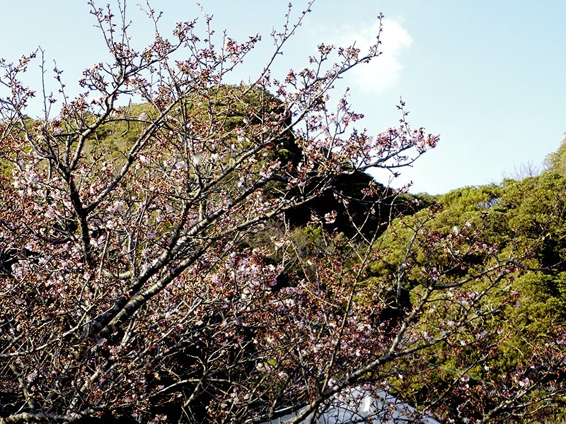 f0214467_10280598.jpg