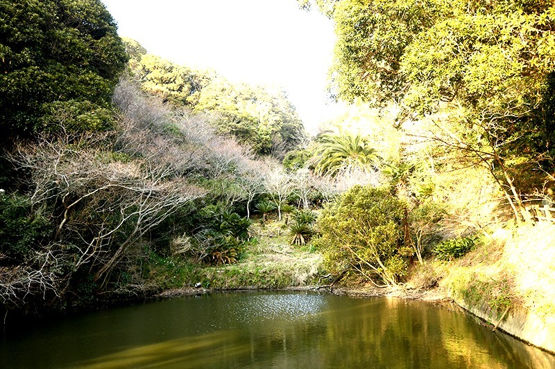 f0214467_10425553.jpg