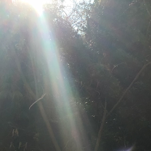 c0344679_21141838.jpg