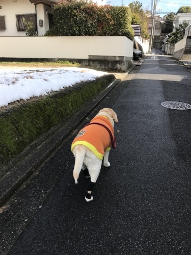 f0315081_17470837.jpeg