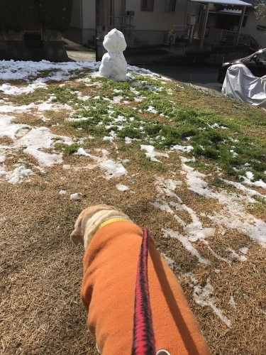 f0315081_17482435.jpeg