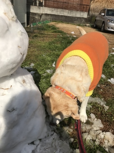 f0315081_17491450.jpeg