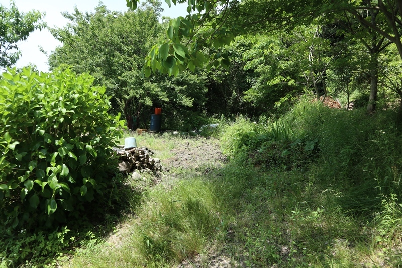 c0149785_16013674.jpg