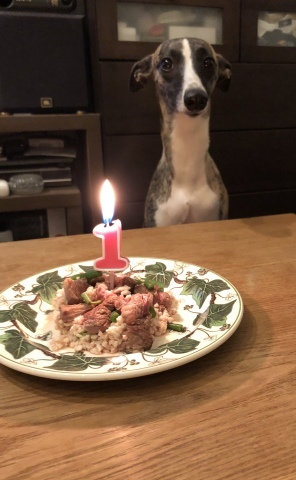 f0177788_00124039.jpeg