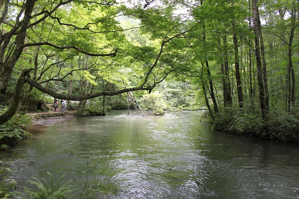 b0177792_16164403.jpg