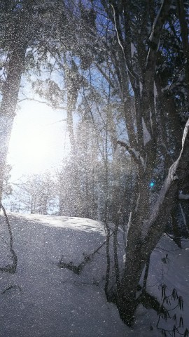 降った、降った_b0343293_21161676.jpg