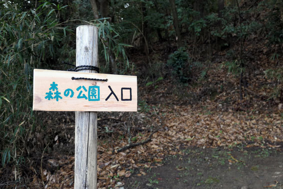 森の公園づくりに集う_b0145296_14143805.jpg