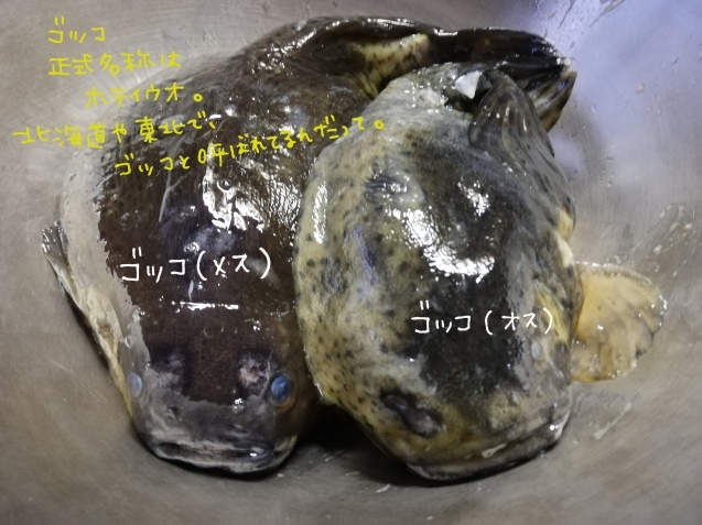 c0125899_16364676.jpeg