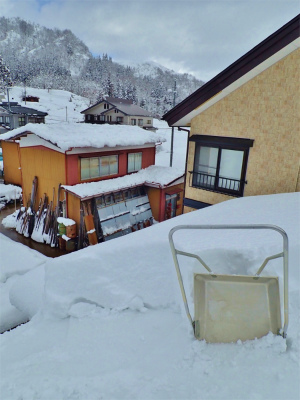 c0336902_17452842.jpg