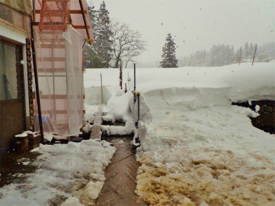 暖冬の積雪深を測ってみました_c0336902_18132791.jpg