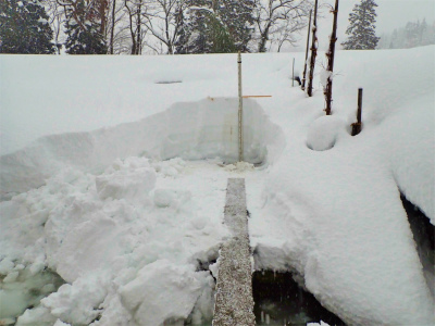 暖冬の積雪深を測ってみました_c0336902_18133032.jpg