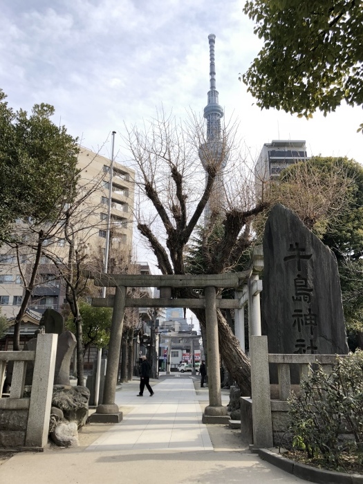 寿湯〜牛嶋神社（冬の土用の丑）_d0138811_20544463.jpeg