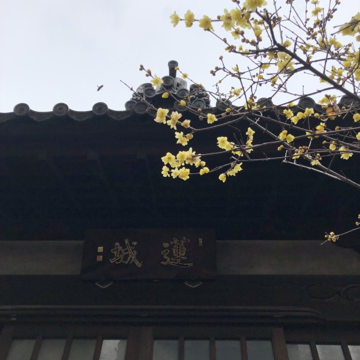 寿湯〜牛嶋神社（冬の土用の丑）_d0138811_21080011.jpeg