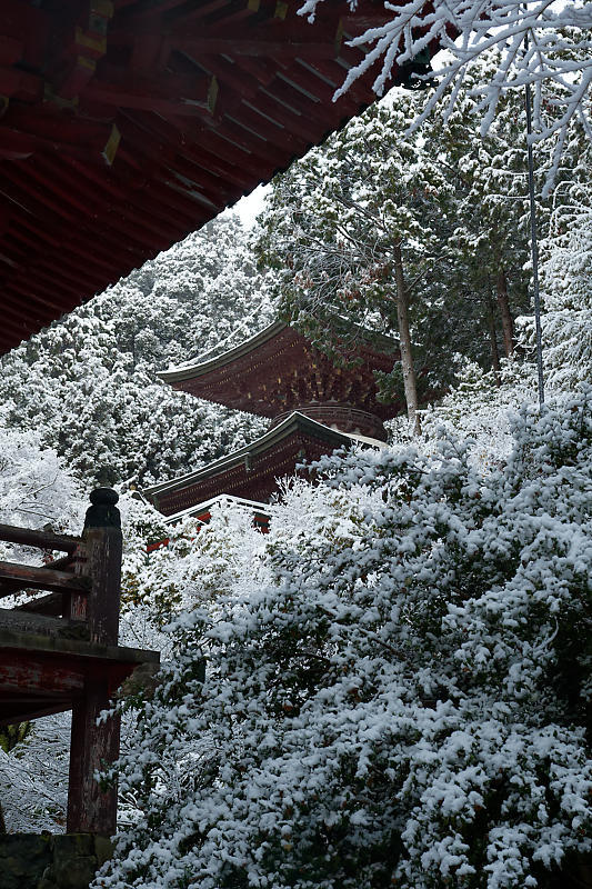 京の雪景色・神護寺 其の三_f0032011_21245268.jpg