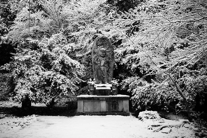 京の雪景色・神護寺 其の三_f0032011_21245283.jpg