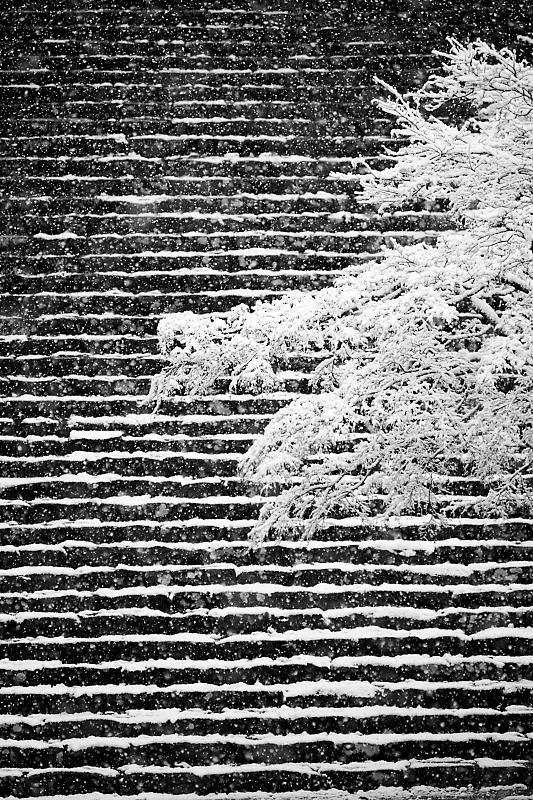 京の雪景色・神護寺 其の三_f0032011_21245334.jpg