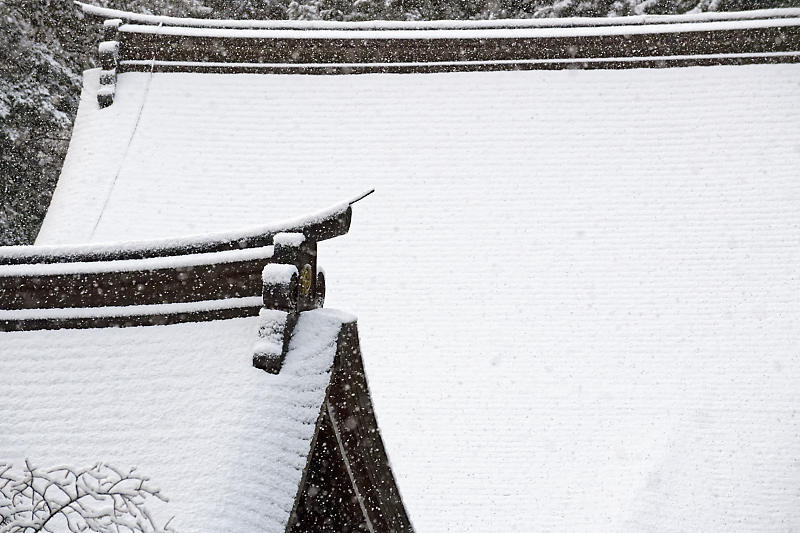 京の雪景色・神護寺 其の三_f0032011_21245364.jpg