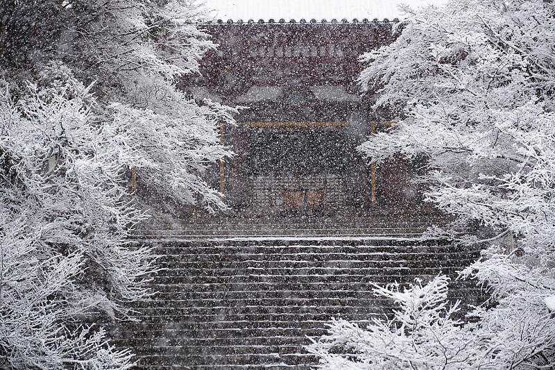 京の雪景色・神護寺 其の三_f0032011_21245367.jpg