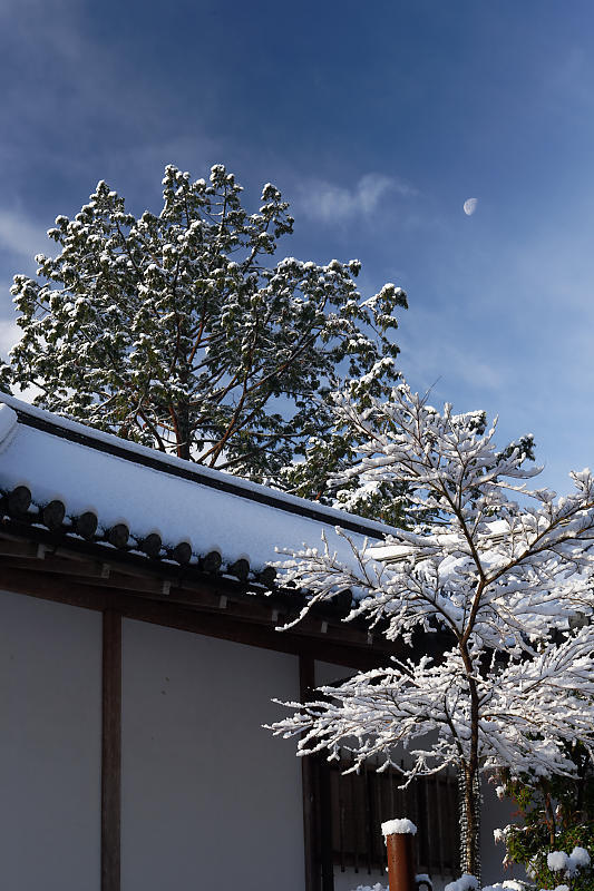 京の雪景色・神護寺 其の三_f0032011_21290400.jpg
