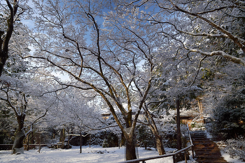 京の雪景色・神護寺 其の三_f0032011_21290413.jpg