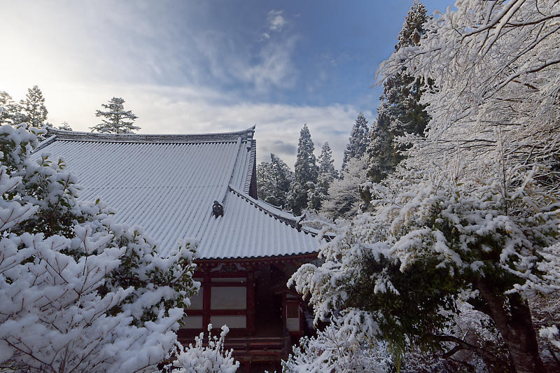 京の雪景色・神護寺 其の三_f0032011_21290468.jpg