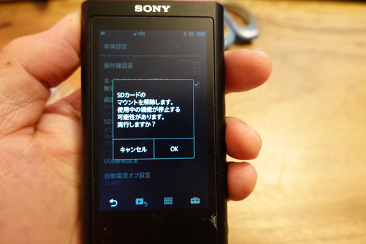 NW-ZX300のSDカードの増強。 : 沖縄の風