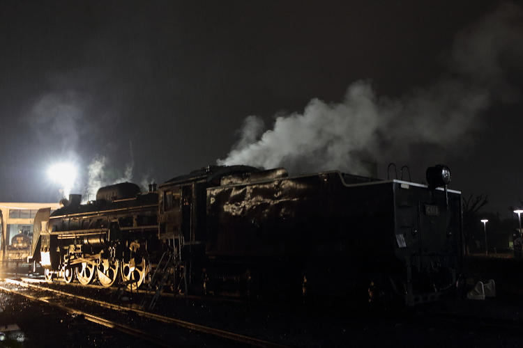 京都・冬の光宴2018～星屑のアクセサリー～ －京都鉄道博物館 扇形車庫ライトアップ（後編）－_b0169330_7222691.jpg