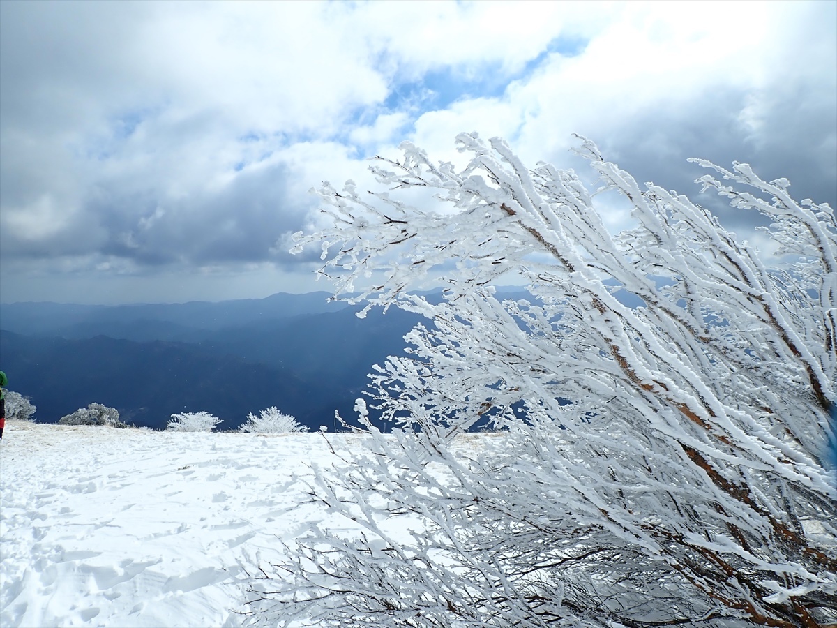 △　霧氷の美しい三峰山（みうねやま）　スノートレッキング　△_f0348933_19542237.jpg