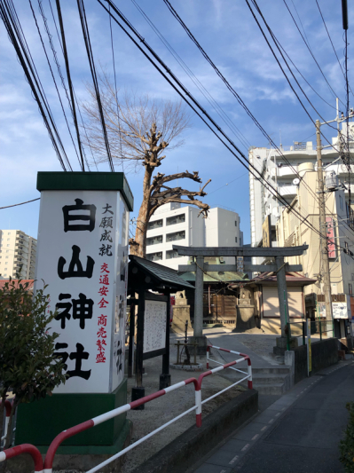 ちちん ぶいぶい！ その13。_b0136045_12545541.jpg