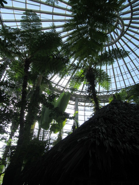 e0082045_10055536.jpg