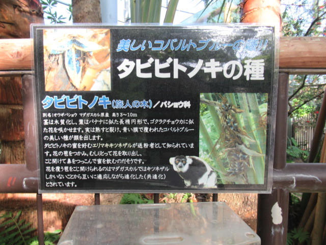 e0082045_10081099.jpg