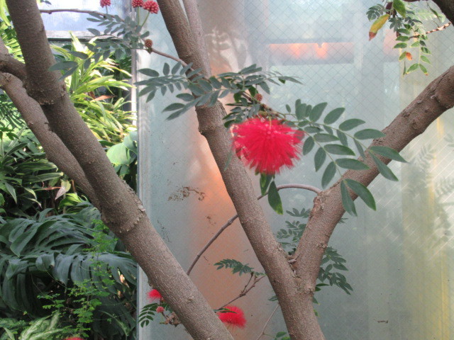 e0082045_10093747.jpg