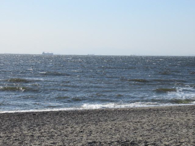 e0082045_10115470.jpg