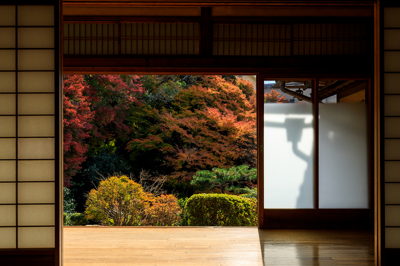 京の紅葉2018　和中庵の建築美と紅葉_f0155048_232149.jpg