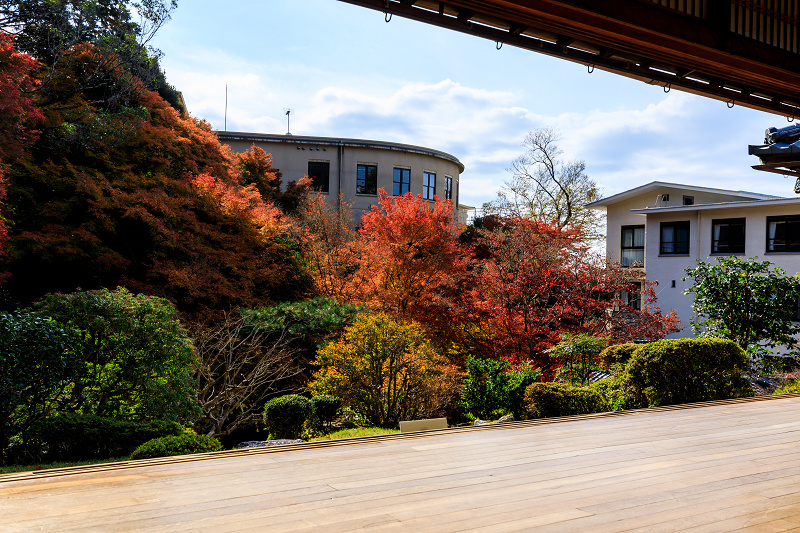 京の紅葉2018　和中庵の建築美と紅葉_f0155048_2324719.jpg