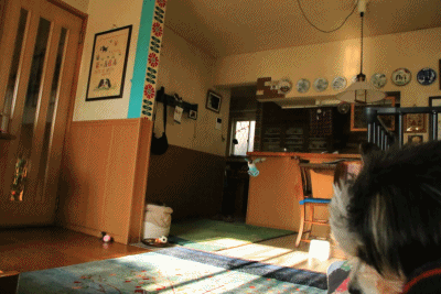c0145250_09304543.gif