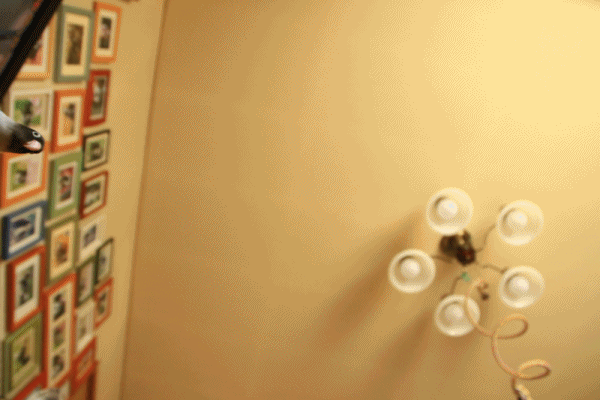 c0145250_09305207.gif