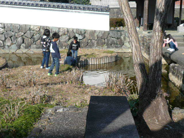 c0043055_15241544.jpg