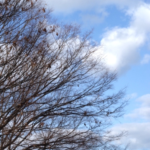 a0151356_15021918.jpeg