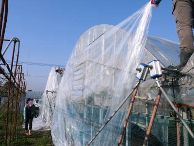 熊本ぶどう 社方園 ぶどうの果樹が眠りから覚める前に行うハウス張りの様子(後編)_a0254656_17153851.jpg