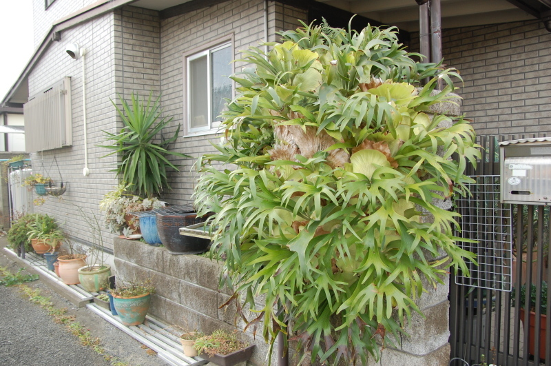 c0108460_15024825.jpg