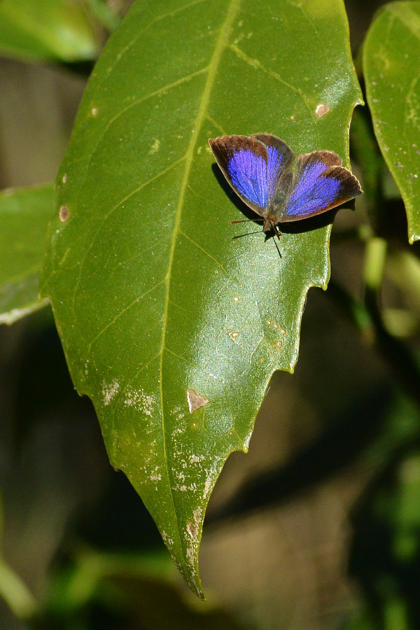 d0387460_22110379.jpg